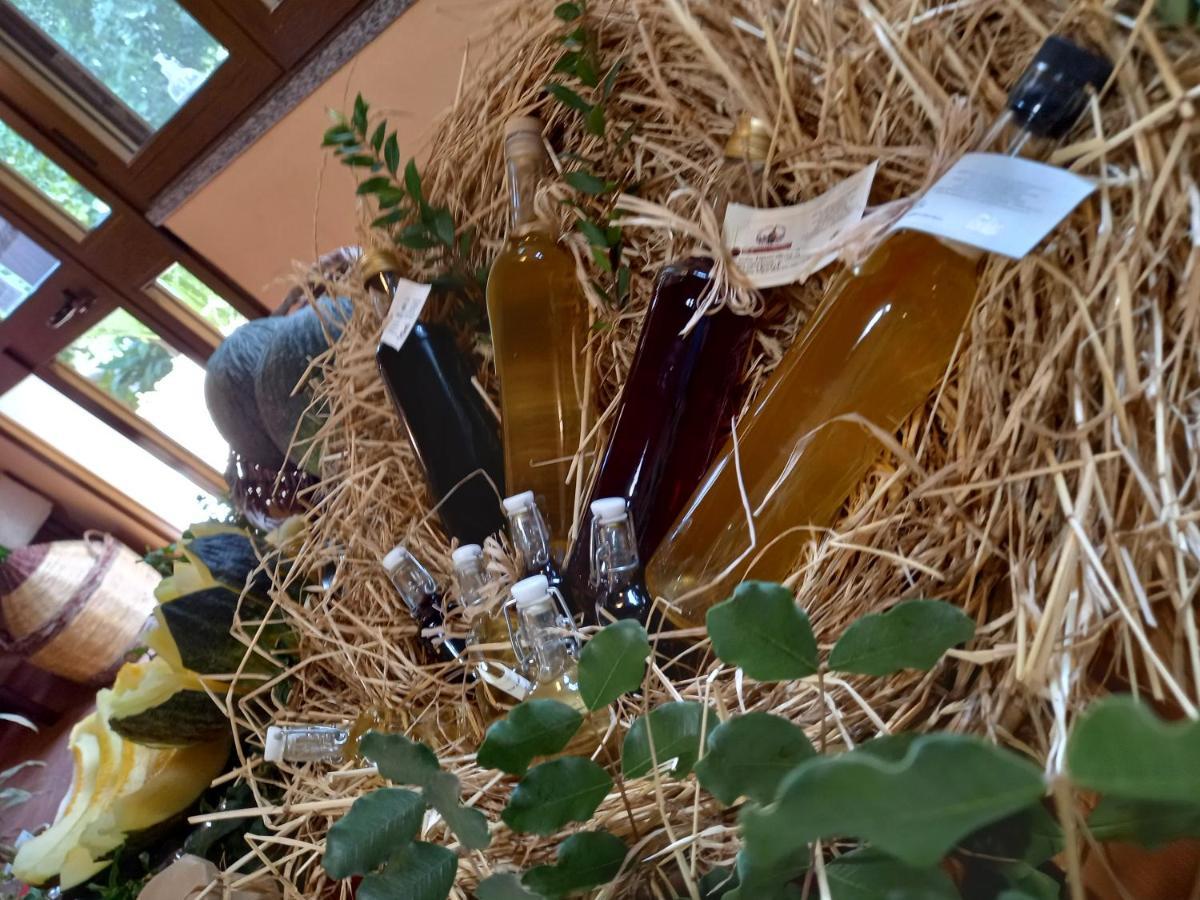 Willa Agriturismo Bachile Bertula Riola Sardo Zewnętrze zdjęcie